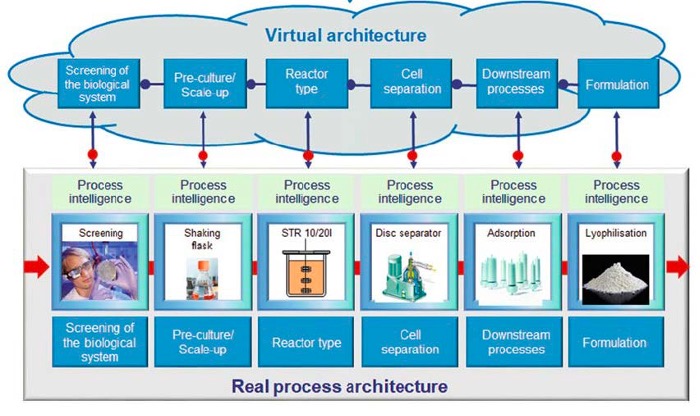 Information content during life cycle of biologics process development