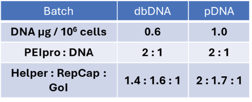 Recommended starting parameters for dbDNA AAV production.