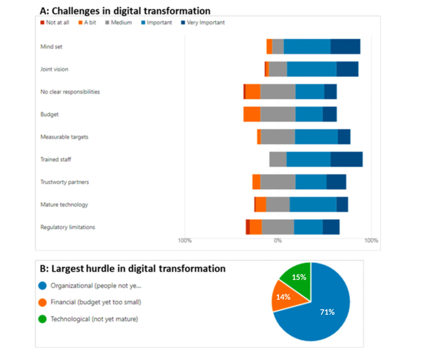 Challenges in digital transformation (quantitative survey)