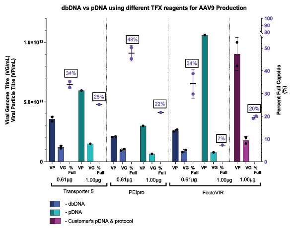 AAV9 yields are comparable between dbDNA and pDNA.