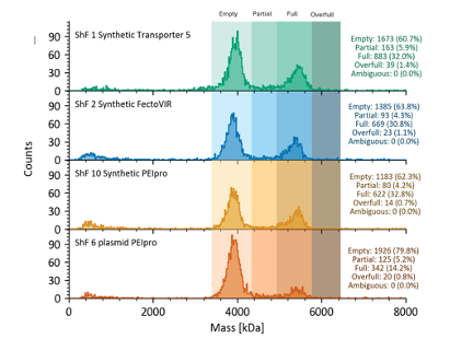 Packaging efficiency is improved with dbDNA, as confirmed by mass photometry.