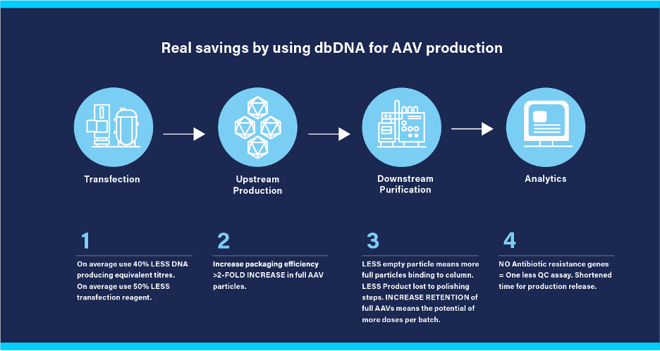 Real savings by using dbDNA for AAV production.