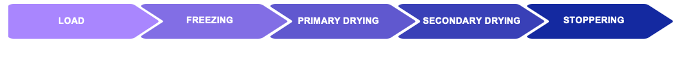 Figure 1. The freeze-drying process