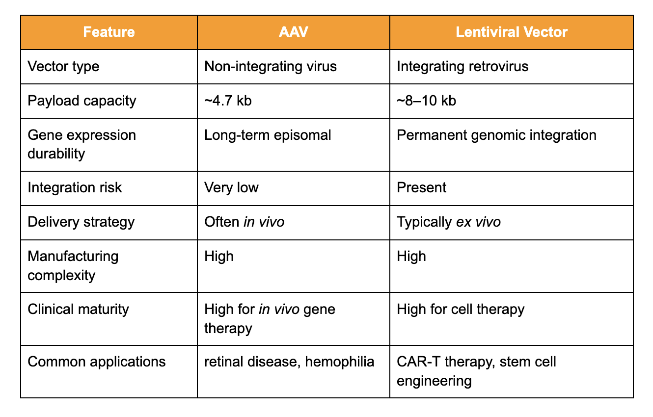 AAV vs. Lentiviral Vectors: Which Viral Vector Is Better for Gene Therapy?