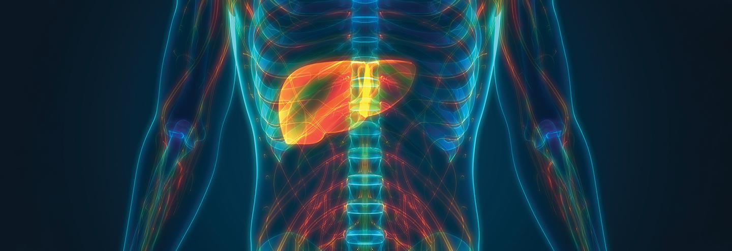 Epigenetic Regulation to Treat Acute Organ Injury and Chronic Liver Diseases