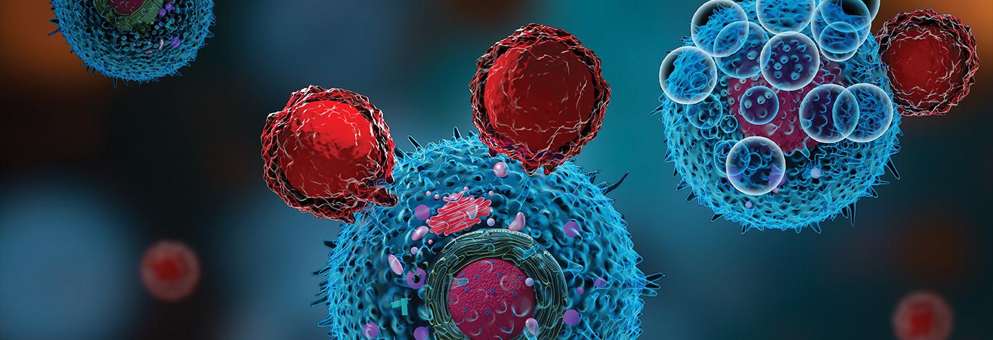 Leveraging the Native Immune Response to Fight Cancer