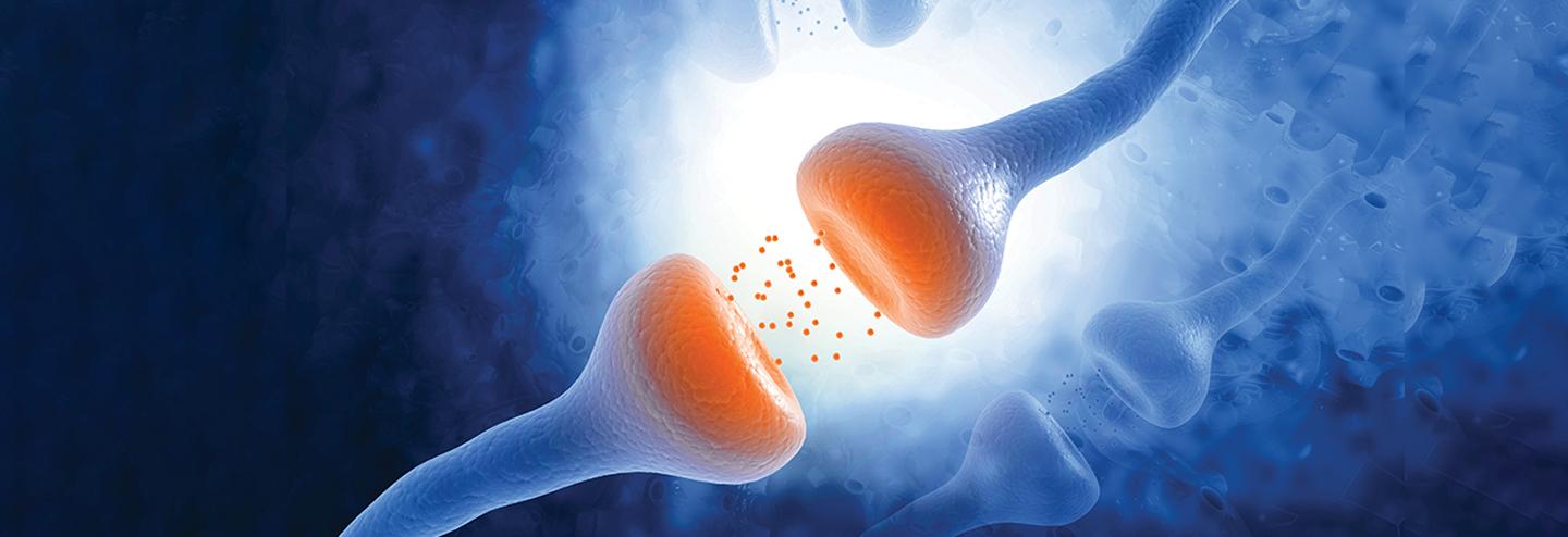 Realizing the Promise of Therapeutics Targeting the Endocannabinoid System