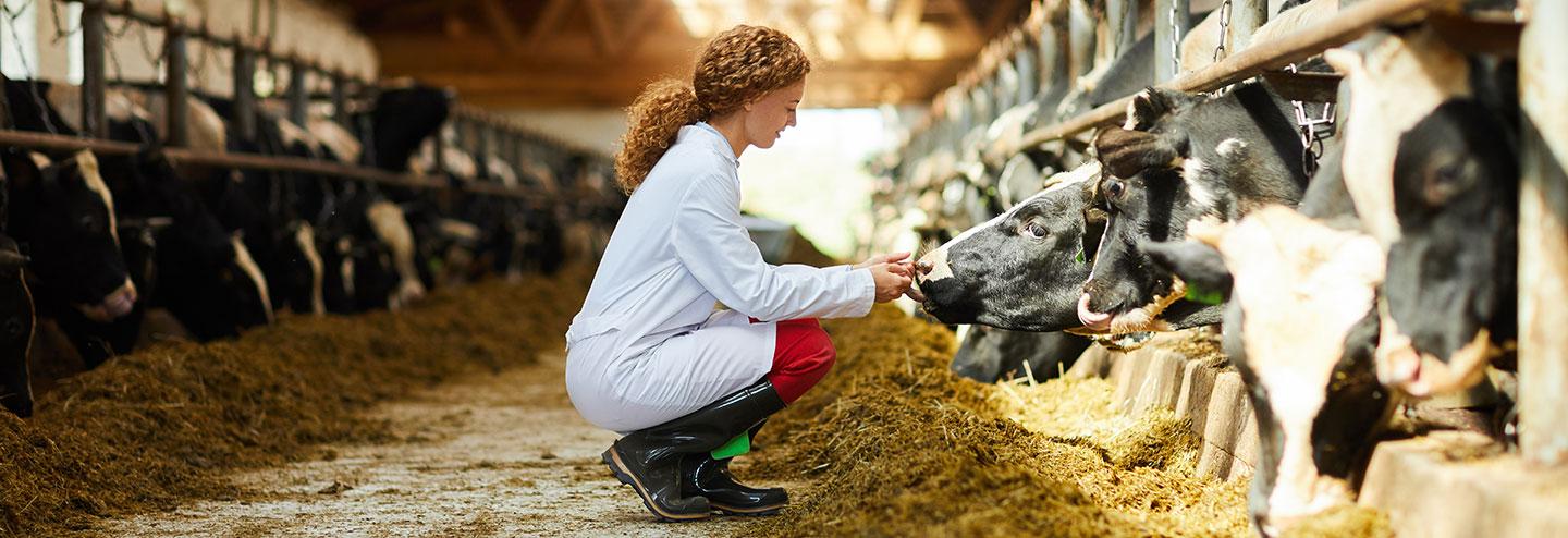Gaining Insights into the Challenges, Trends, and Needs of Animal Health Organizations
