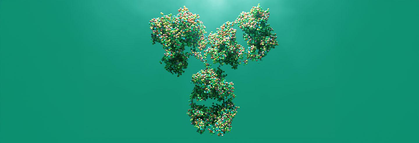 Recombinant Antibody Technology is Crucial to Past and Future Success in Biopharma