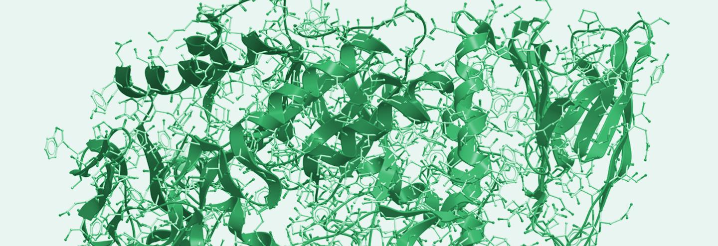 Applying Enzymatic Synthesis for Chiral Molecules