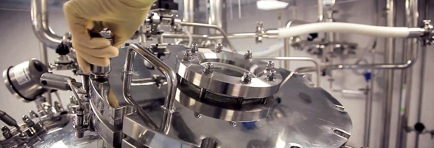 Speed-to-Market: Process and Capacity on Demand