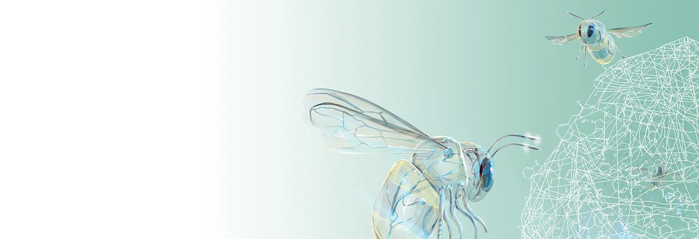 Capsugel: Evolving A Strong Brand