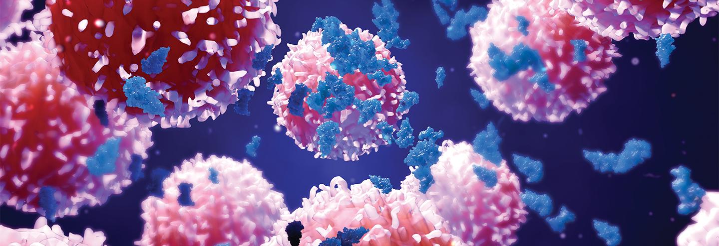 High-Productivity Membrane Chromatography to Enable Next-Generation Purification of Monoclonal Antibodies