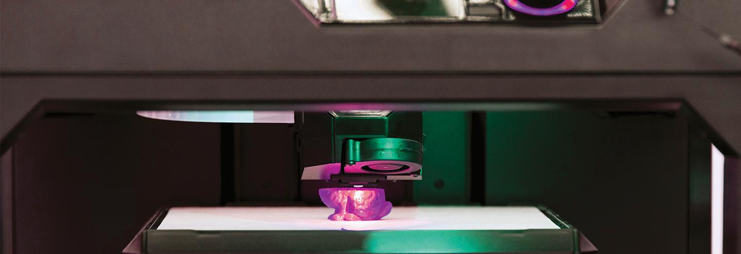 Facilitating 3D Organ Printing with Plant-Based BioInks