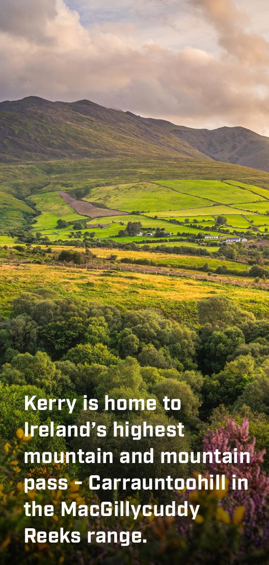 Kerry Stats