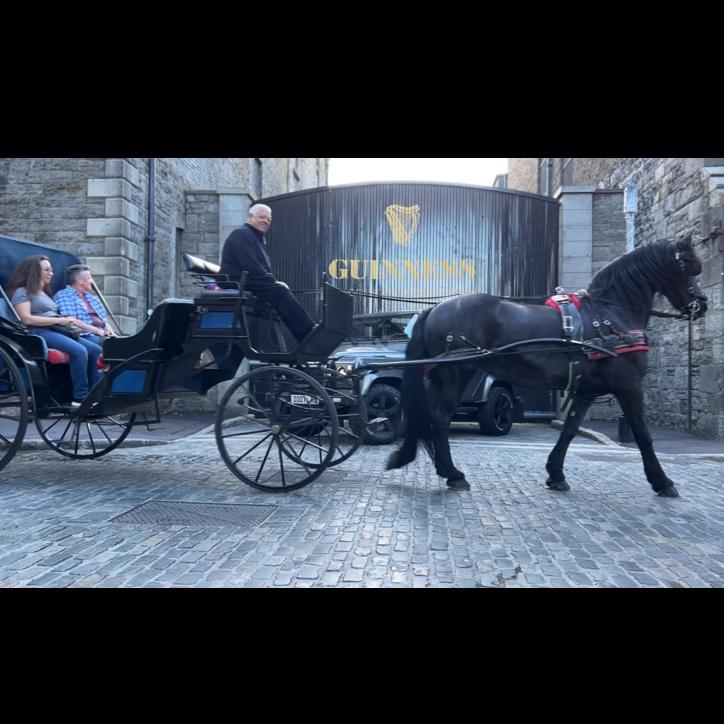 The original horsepower at the Guinness Factory.