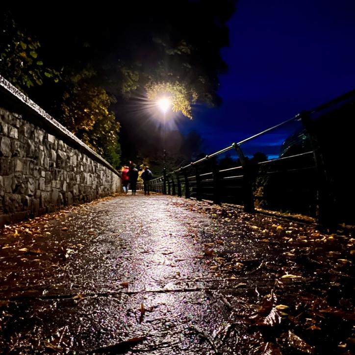 Already starting to look like fall on this Dublin evening.
