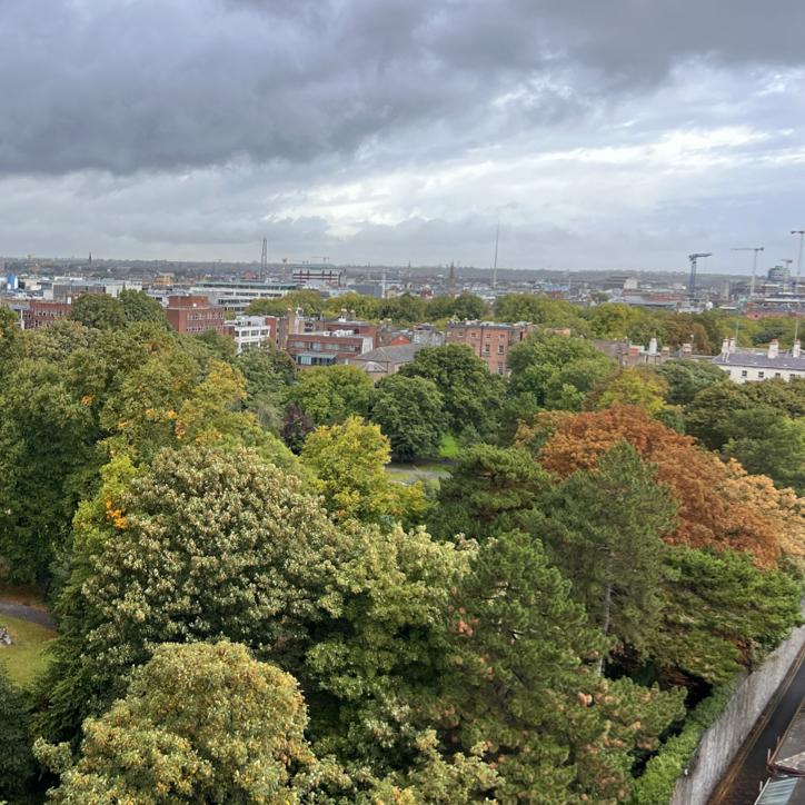 Enjoying the view from IDA Ireland's balcony. 