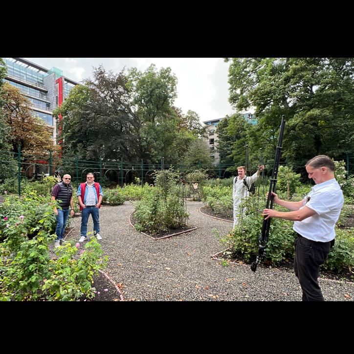 The team considers foraging for lunch in a Dublin community garden.