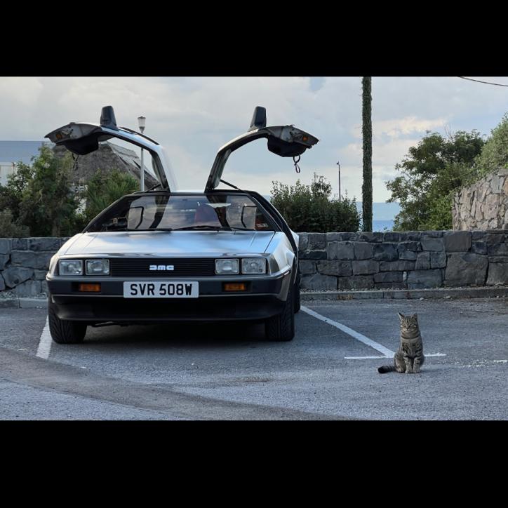 The DeLorean has some new security.
