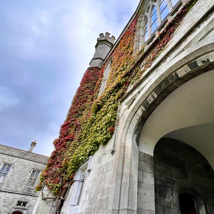 Soaking in the knowledge in NUI Galway's Quad.