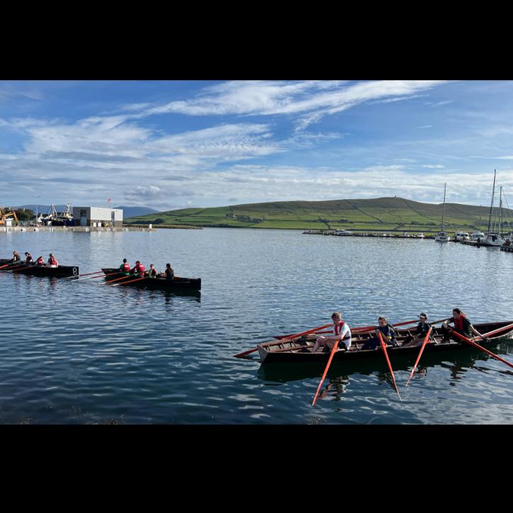 Catching some revelers out for a row.