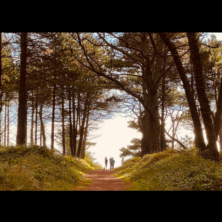 A dreamy moment walking onto Curracloe Beach through "The Raven" Nature Preserve.