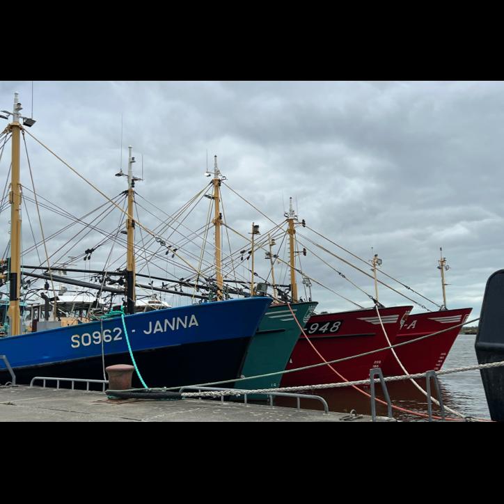 Fishing boats docked in Wexford.