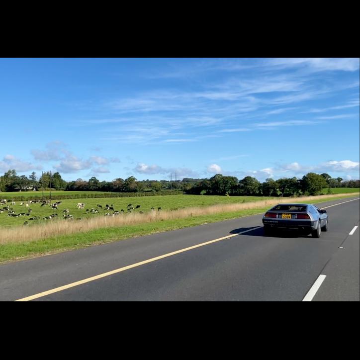 The DeLorean cruising by some dairy cows on the road to Dublin.