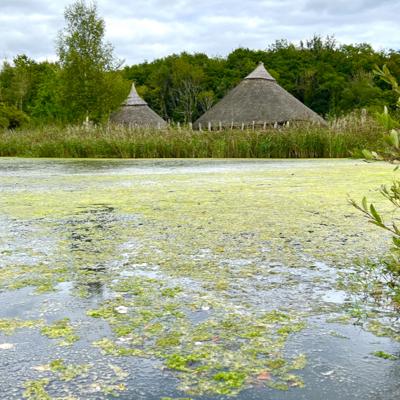 Exploring the Bronze Age at the Irish Heritage Park. 