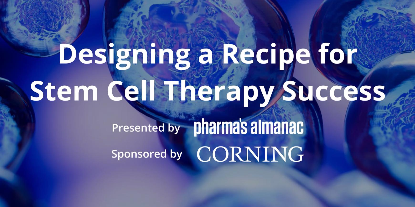 Designing A Recipe for Stem Cell Therapy Success