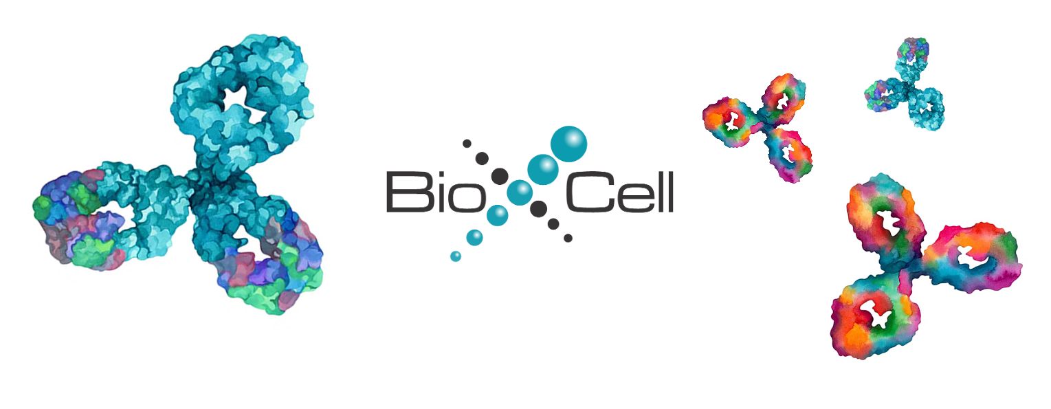 Bio X Cell Announces CEO Appointment