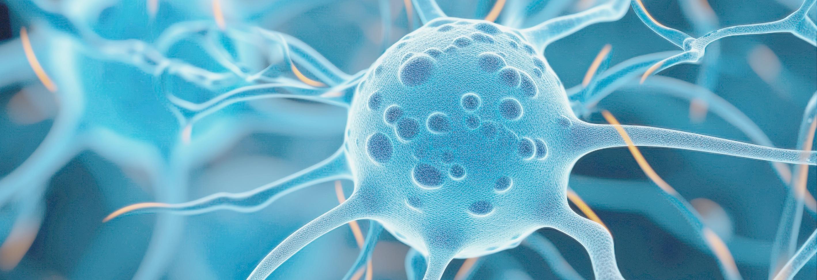 Navigating the Complex Landscape of Oncology Trials