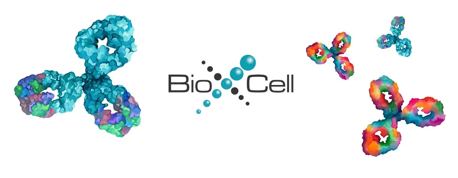Bio X Cell Announces Board of Director Appointments