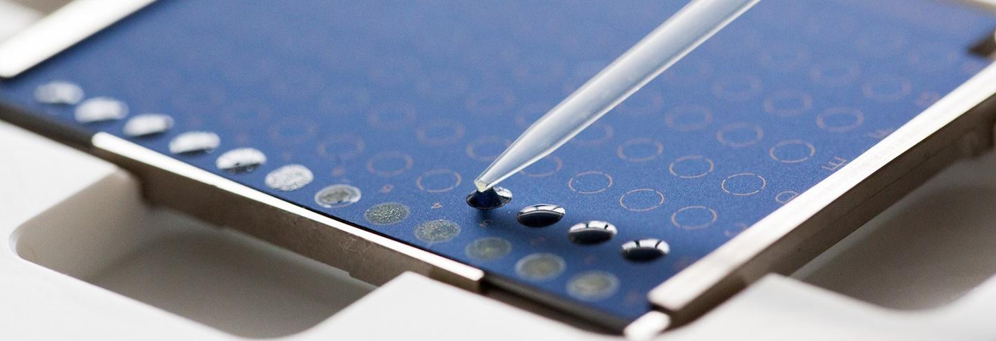 The Bruker MALDI Biotyper Solution Receives AOAC International Approvals for Two OMAs in Food Microbiology