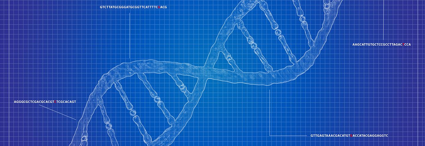 Strategic Facility Planning for Cell and Gene Therapy Facilities