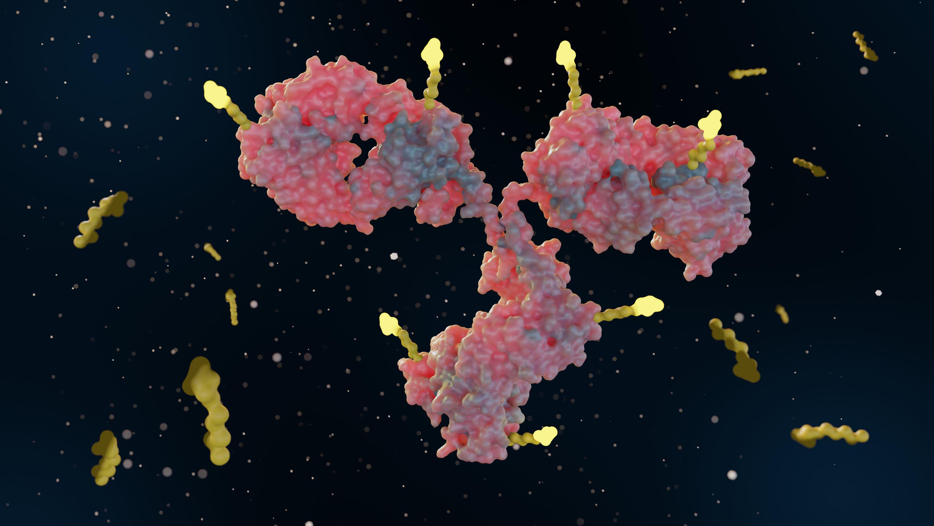 The Improvements of the Production and Stability of a mAb-Chelator Conjugate by Modified Transchelation Conditions