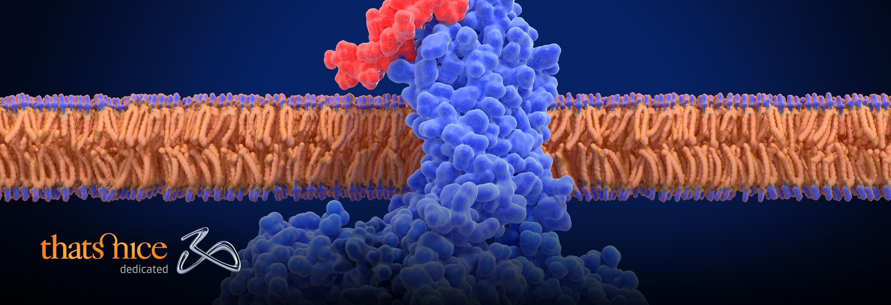 Breaking the Cycle of Chronic Disease with New Therapeutic Strategies