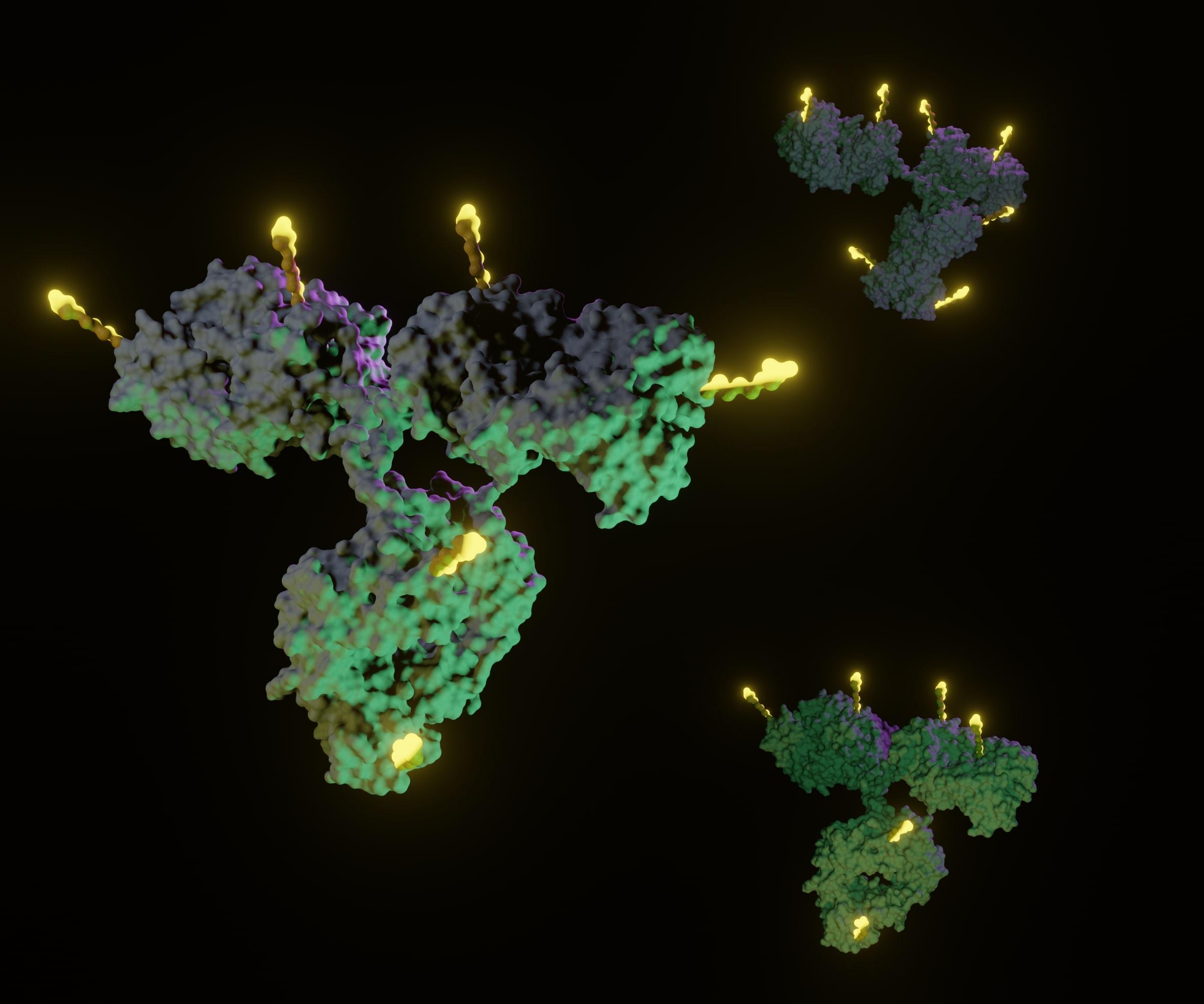Rising Interest in Radioconjugate Therapies