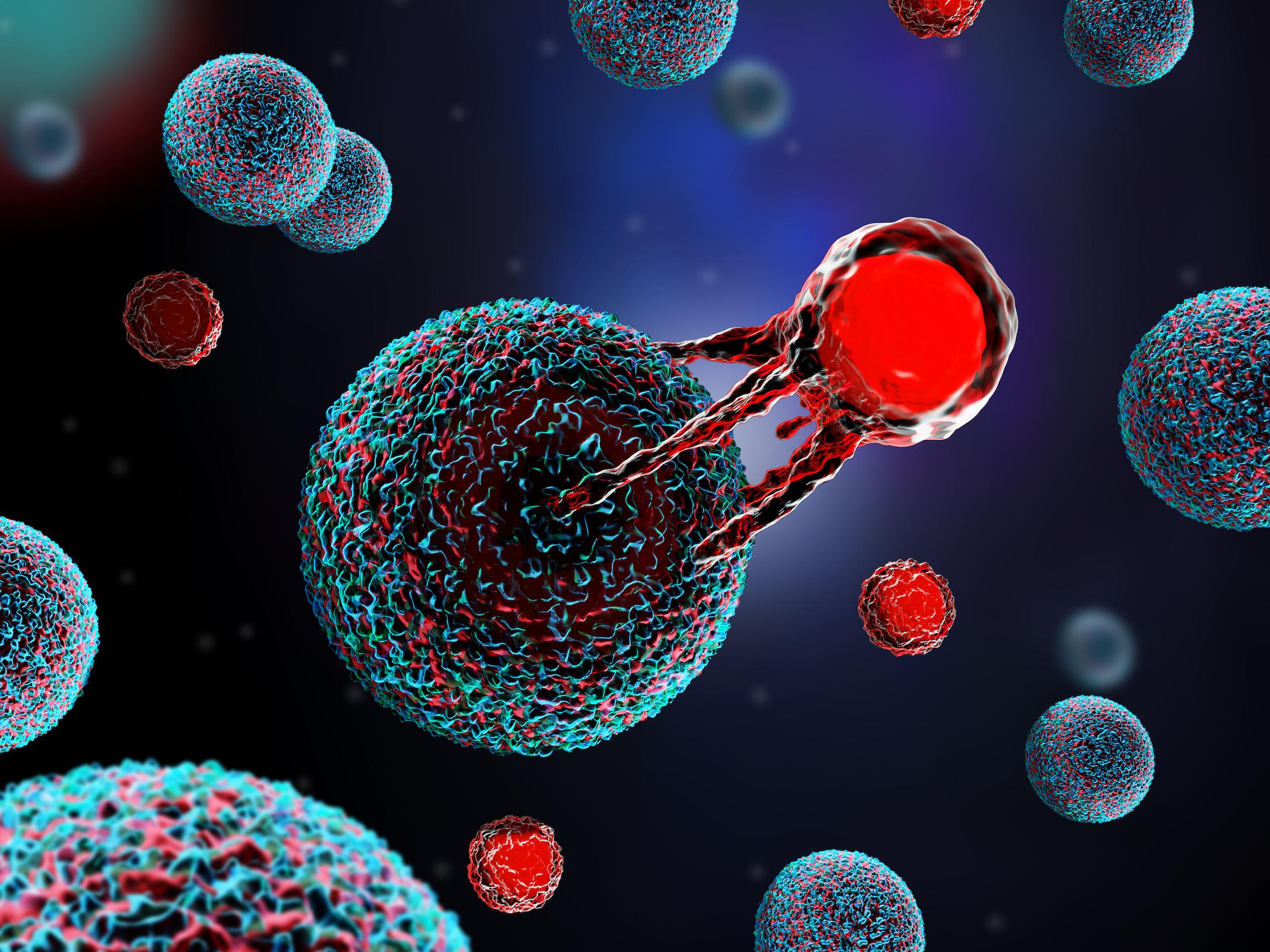 Expanding the Frontiers of Cell Therapy: Veterinary Applications and Translational Insights