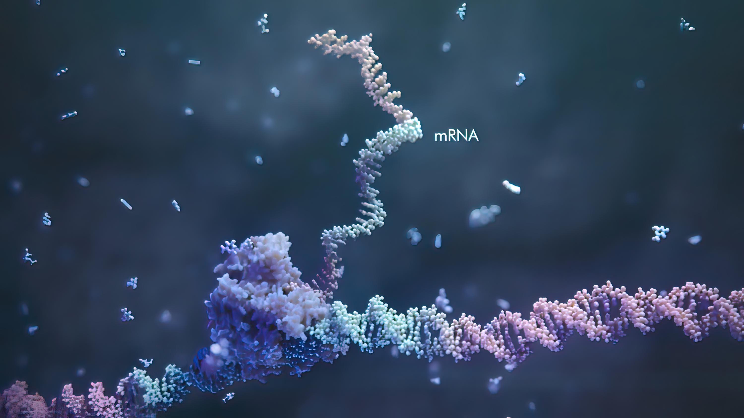 Is mRNA a Gene Therapy? Unpacking the Evolving Regulatory Debate
