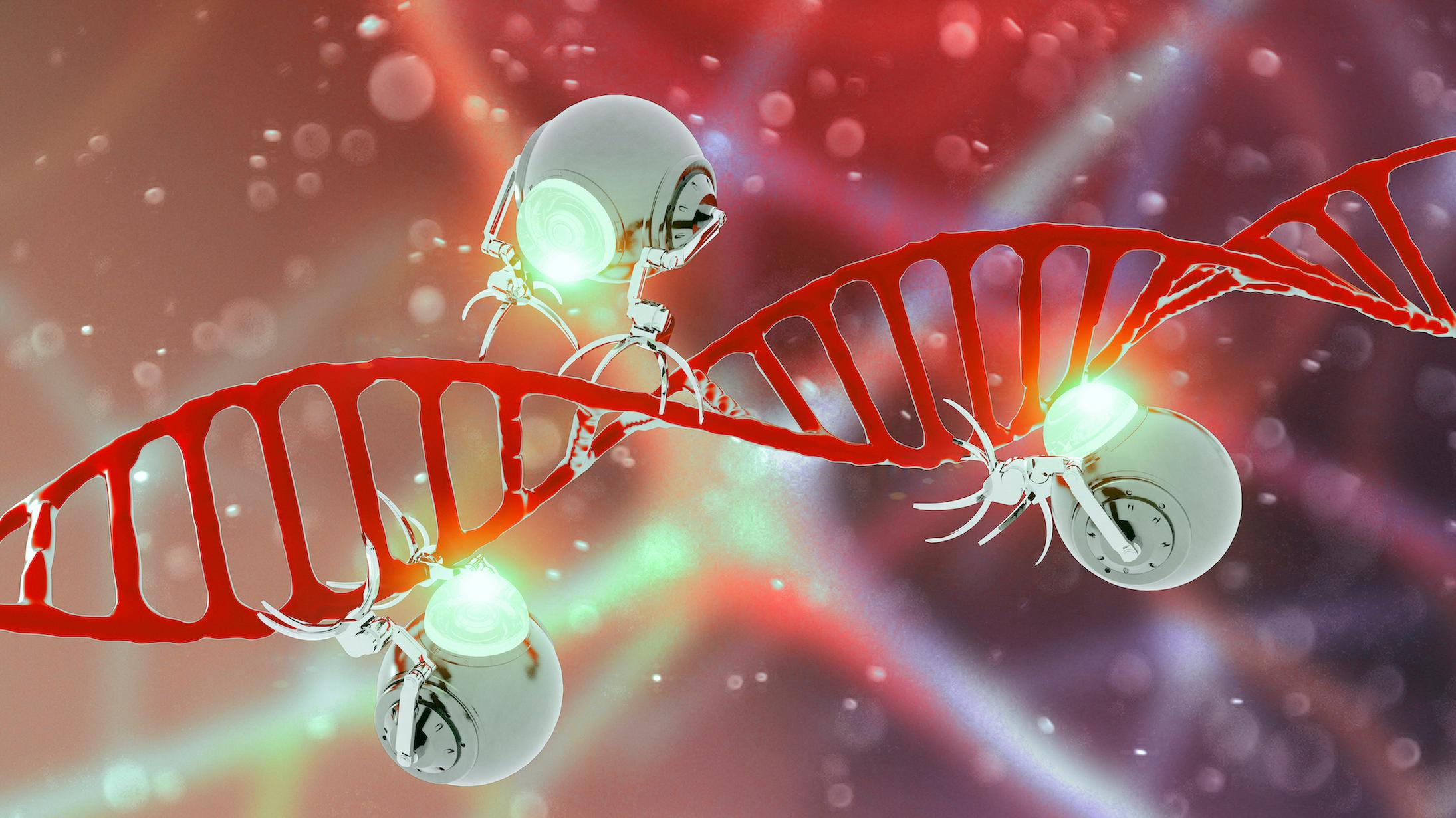 DNA Nanobots: Precision Machines at the Molecular Frontier