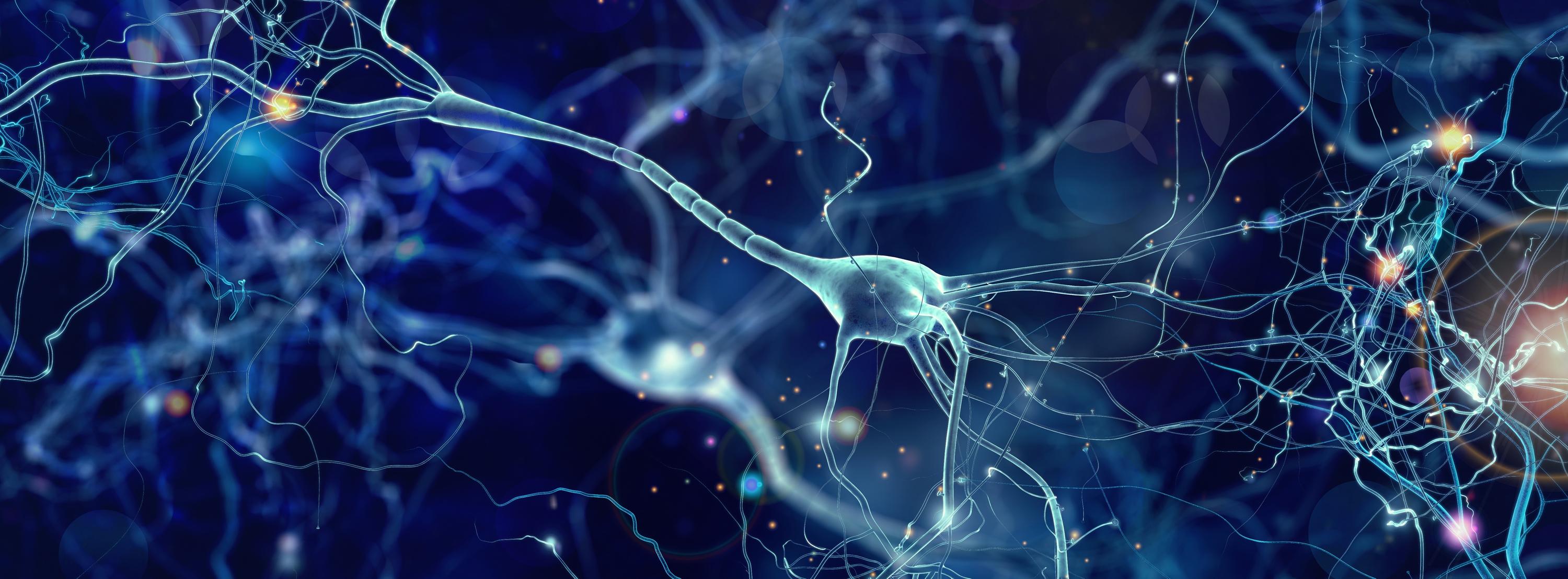 Designer Control: DREADDs and the Next Generation of Targeted Neuromodulation