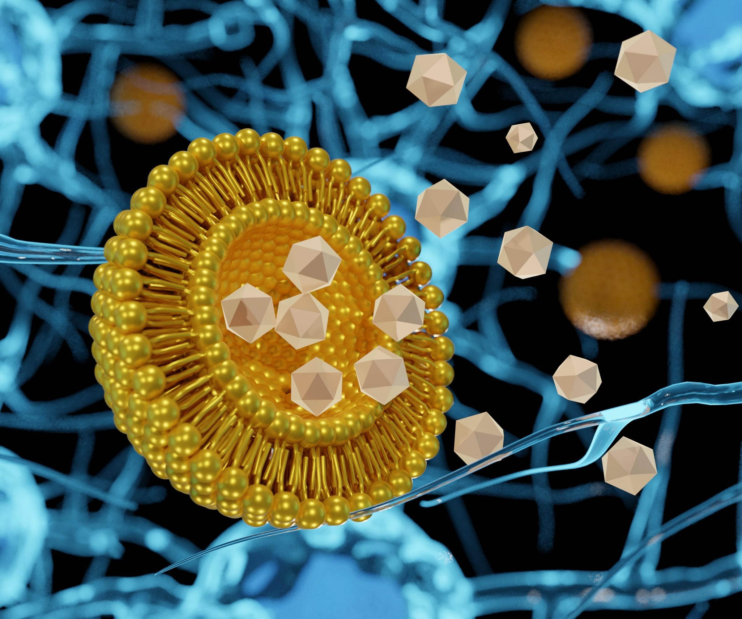 Addressing Drug Delivery Challenges at the Nanoscale