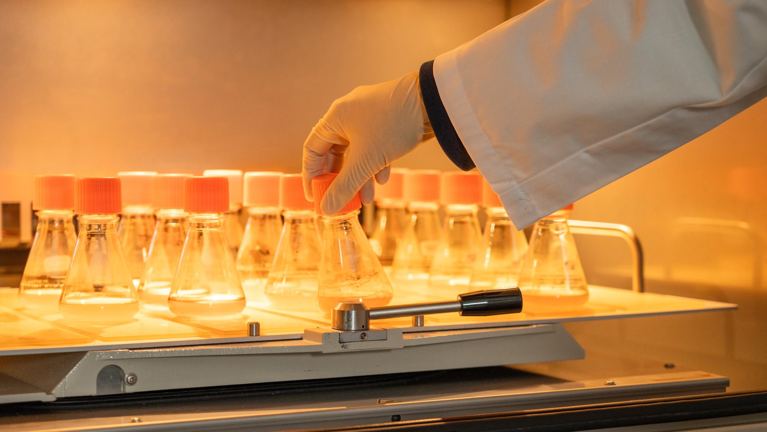 Advancing Biologics Development With Next-Generation Cell Line Development