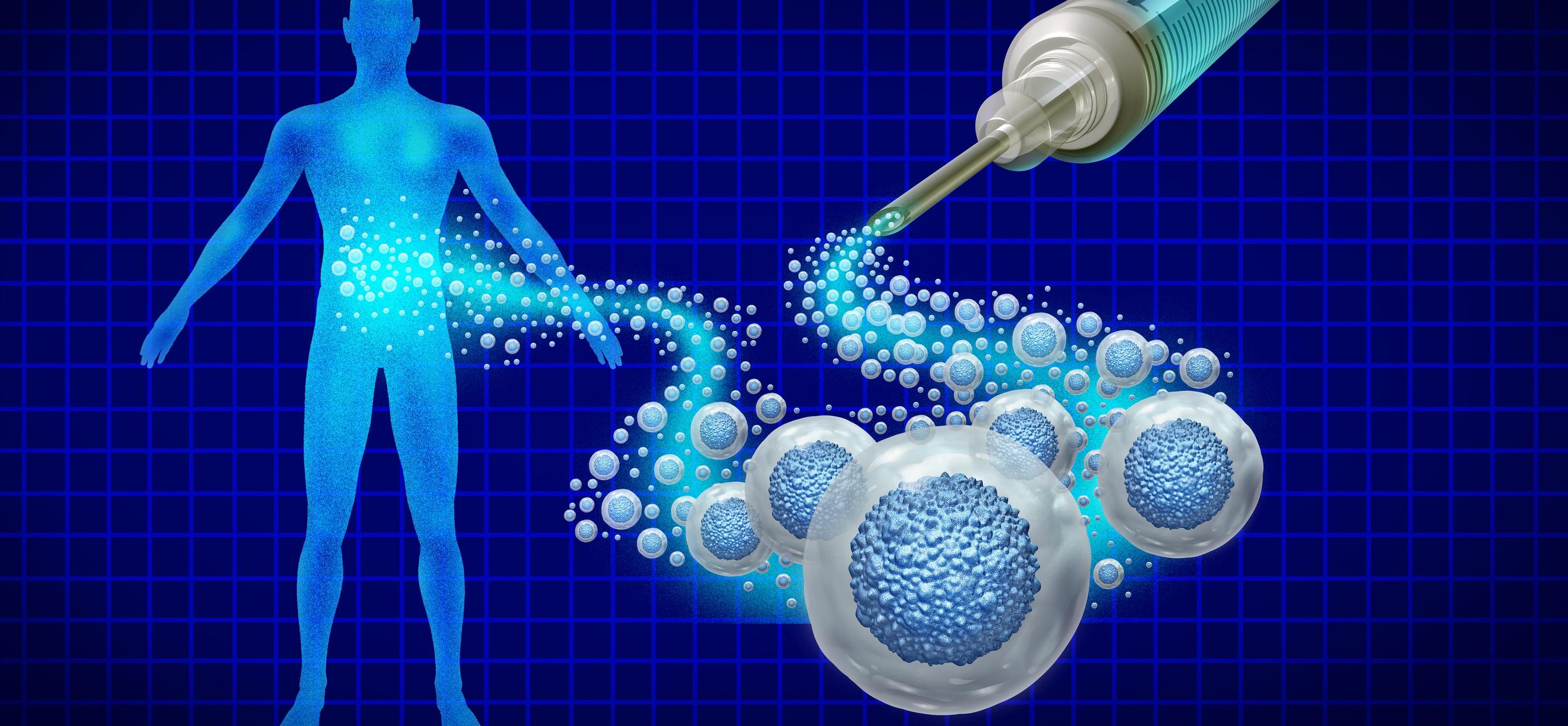 Engineering from Within via In Situ Programming and Regeneration