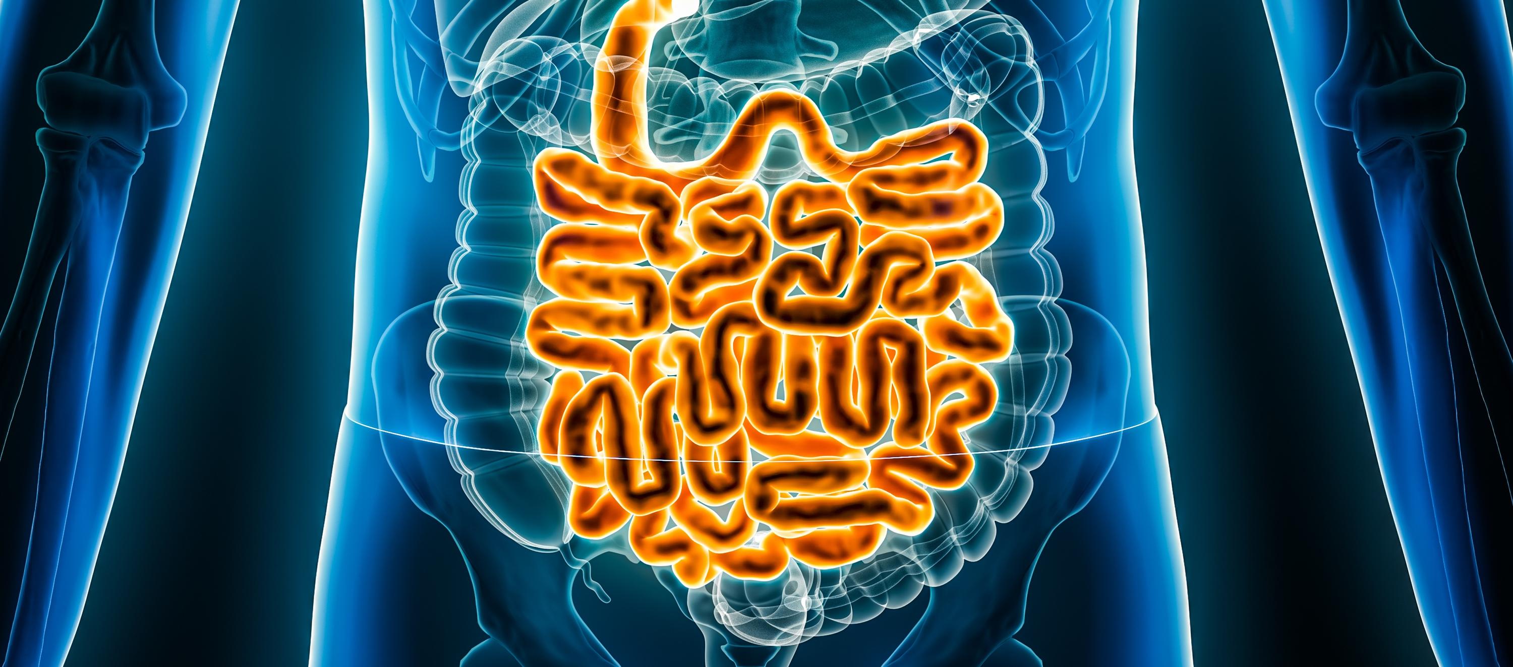 Glycocaging: A Smart Chemistry Platform for Safer, Smarter IBD Treatments