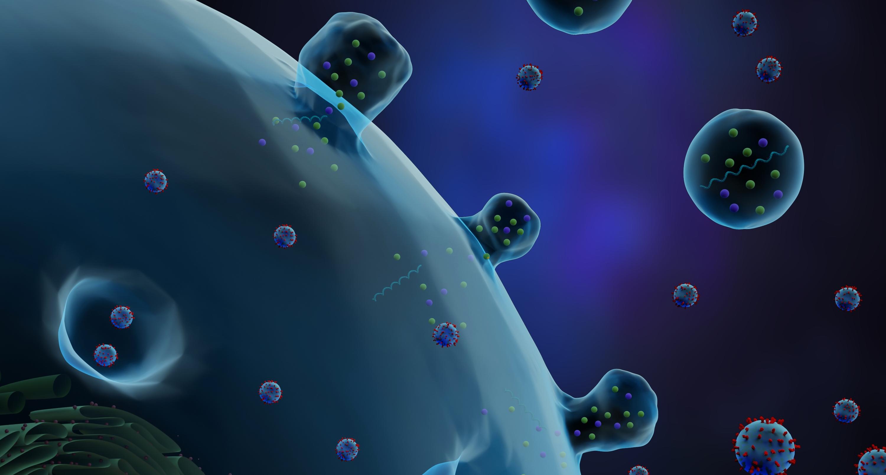 Exosomes: A Promising Natural Nanoparticle Delivery System