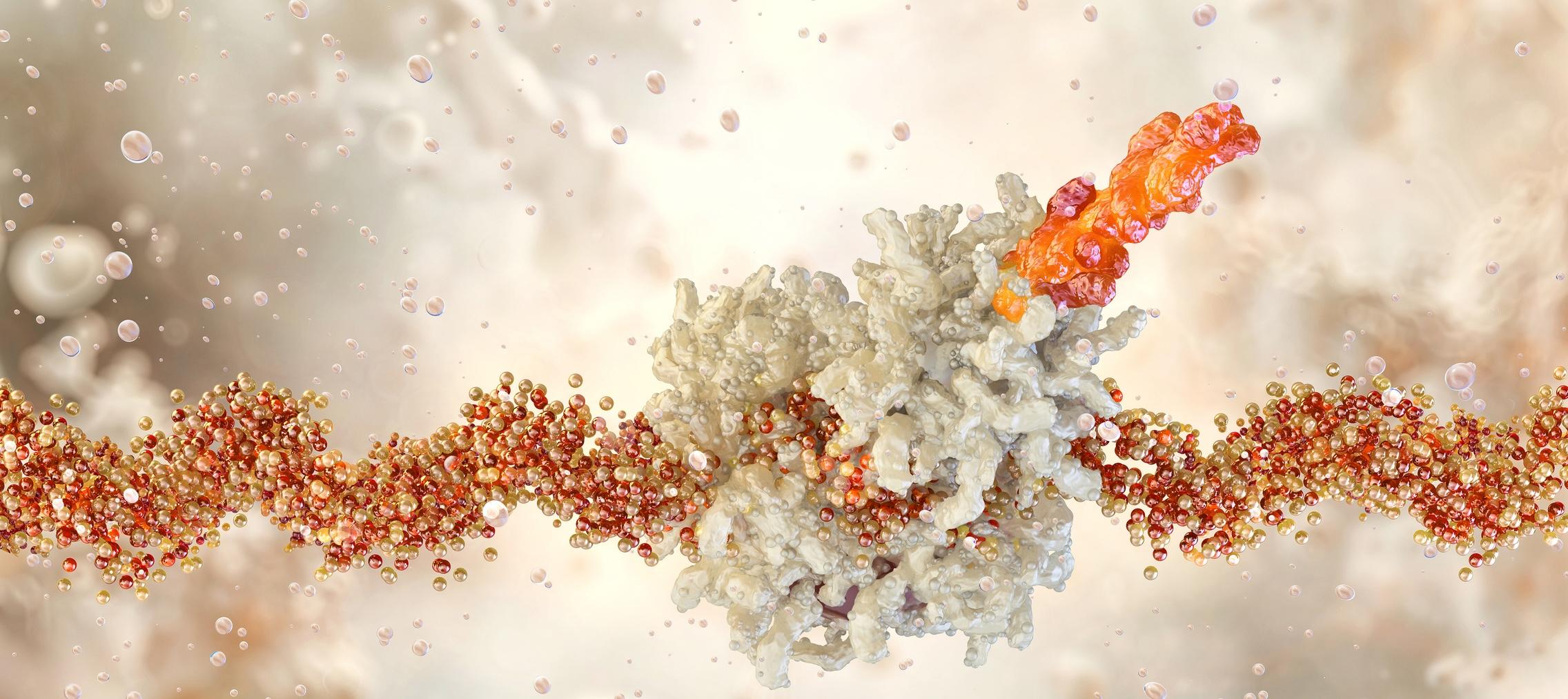 Unlocking Oral RNA Therapeutics: Overcoming Barriers to Gut-Stable Gene Delivery