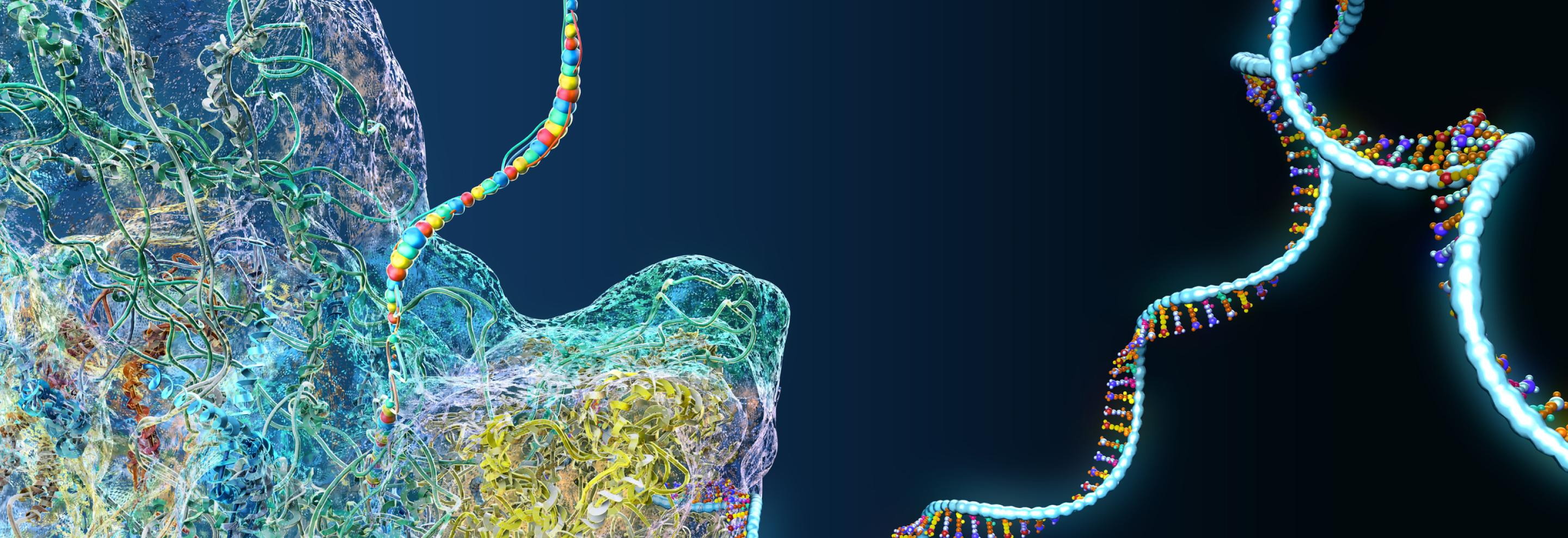 mRNA Therapeutics Are Just Getting Started: Charting a Post-Pandemic Path Forward